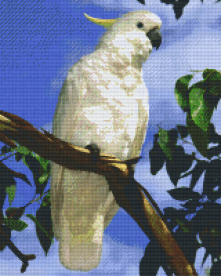 Kookaburra Sixteen [16] Baseplate PixelHobby Mini-mosaic Art Kit image 0
